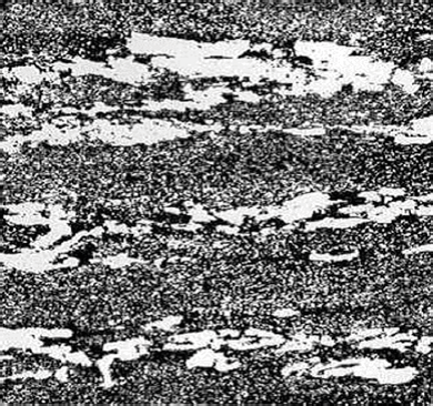 Fig1. Conventional W.Nr. 1.2379 (AISI D2) with typical lines of primary carbides
