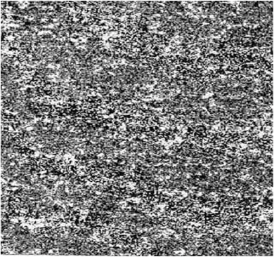 ZESEK EXTRA with better distributed primary carbides